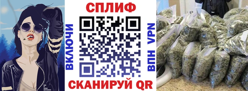 Шишки марихуана сатива  где продают наркотики  kraken ТОР  Чекалин 